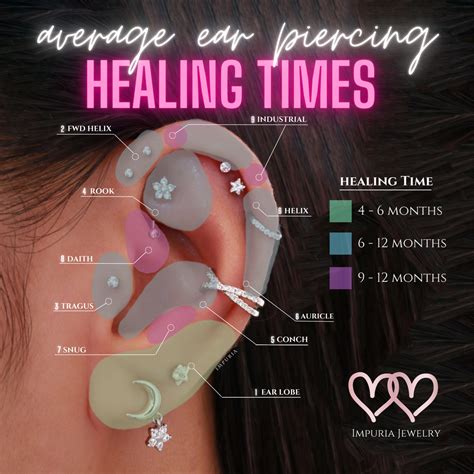 The Ultimate Guide To Ear Piercing Healing Times Impuria Ear Piercing
