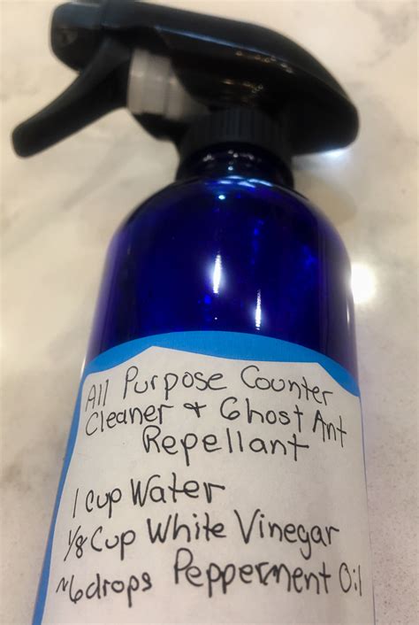 Spray bottle training is a popular method of discouraging cats from engaging in unwanted behaviors, such as scratching furniture or climbing up on counters. Cat Spray Bottle Vinegar - Pets Ideas