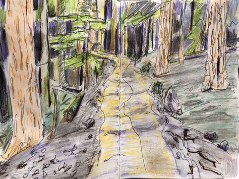 Whistler Forest Path Forest Path Sketch Inspiration Art