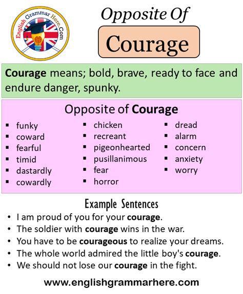 Opposite Of Courage Antonyms Of Courage Meaning And Example Sentences