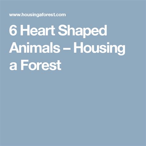 6 Heart Shaped Animals Housing A Forest Heart Shapes Shapes