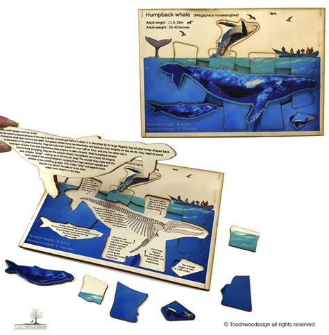 Humpback Whale Educational Wooden Puzzle Touchwoodesign