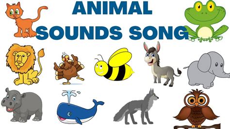 Animal Sounds Song Animal Sounds For Babies Kids Learning Videos