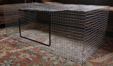 Best Rabbit Hutch Ideal For Keeping Rabbits Indoor Or Outdoor
