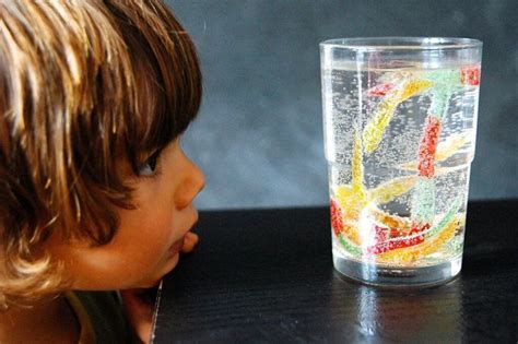 30 Super Cool Science Experiments Science For Kids Science