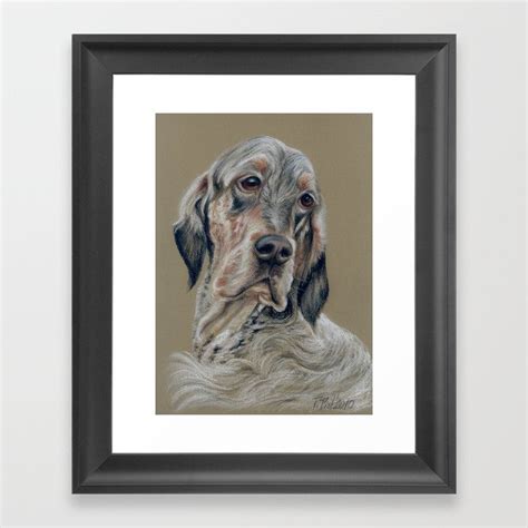 English Setter Dog Portrait Pastel Drawing Framed Art Print By Canisart
