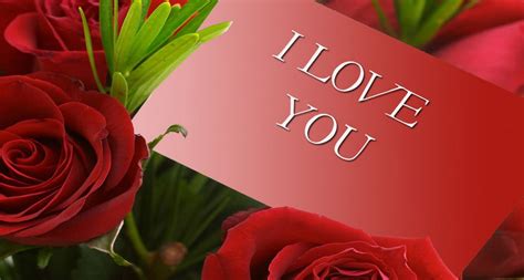 Animated gif images «i love you» will tell everything for you. Beautiful Rose LOve card HD wallpaper | HD Latest Wallpapers