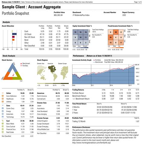 Sample Client Ms Snapshot 1 Rebel Financial Financial Advisors Of