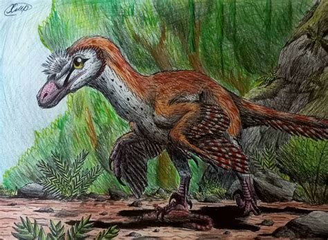Velociraptor Mongoliensis By Hodjiraptor On Deviantart