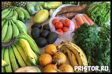 Возможно ли в домашних условиях похудеть