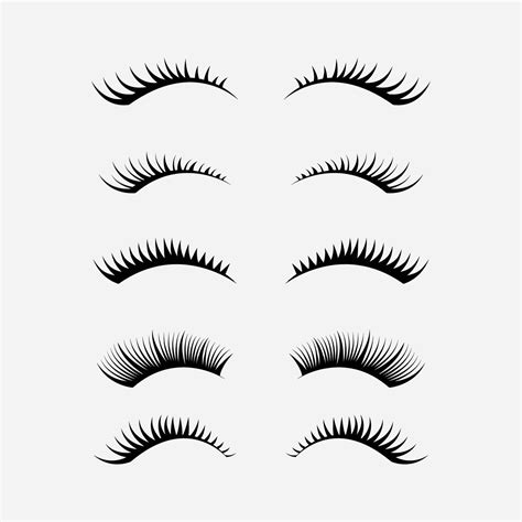 Types Of Eyelashes Cheap Sales Save 59 Jlcatjgobmx