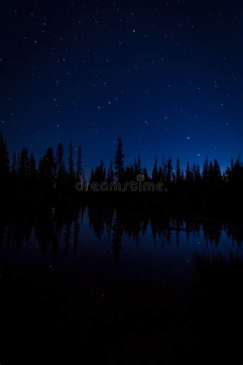 Stars At Night Above Forest Tree Line Stock Image Image Of Reflection