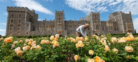 Windsor Castle To Open East Terrace Garden For First Time In 40 Years