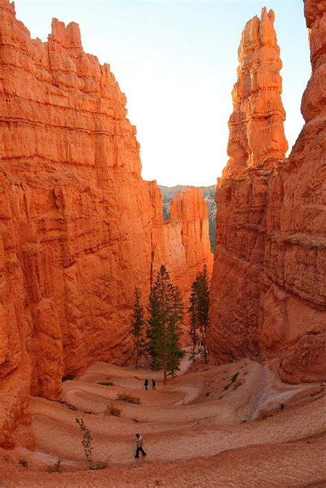 Navajo Loop Trail Bryce Canyon Np Ut Digital Art By Heeb Photos