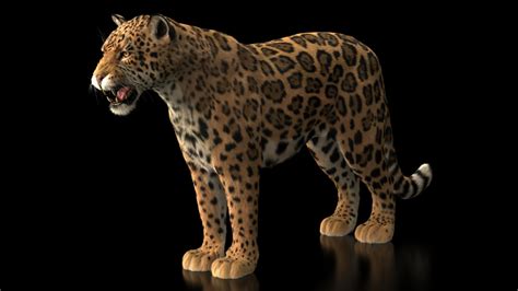 Jaguar Animated Xgen Core Online Massimo Righi 3d Models