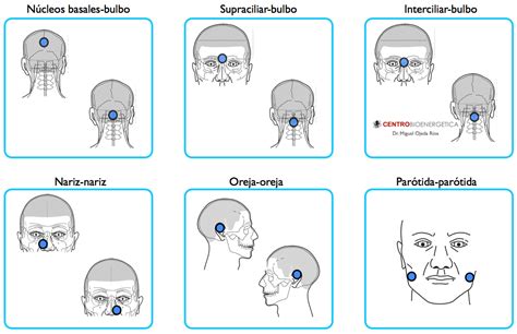 Pares Especiales Par Biomagnético Centrobioenergetica Par