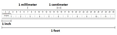Millimeter Measurement Ruler Mm Ruler Actual Size A Millimeter Or