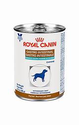 Royal Canin Gastro Intestinal Low Fat Canned Dog Food Pictures
