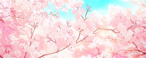 Cherry Blossom Tree Anime  Cherry Blossoms Japan 