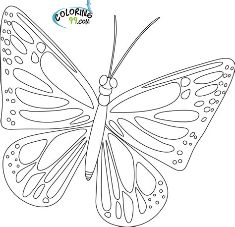 Gambar Life Cycle Butterfly Stage Stages Coloring Pages Di Rebanas
