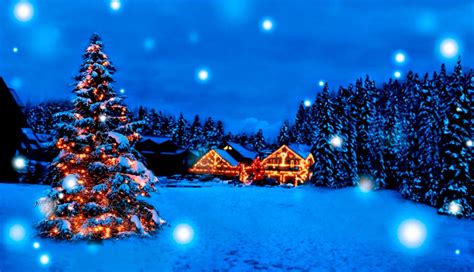 Christmas Wallpaper Hd Widescreen Christmas Tree Blue Winter Snow Sky
