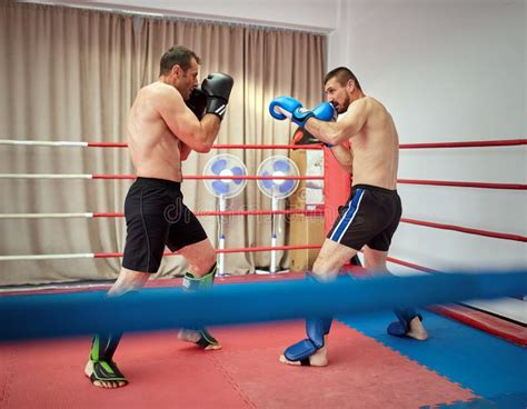 Kickboxers Sparring In The Ring Stock Photo Image Of Practice