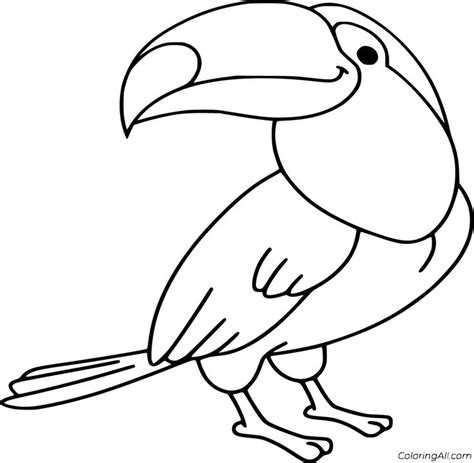 Coloring Pages Printable Tucan Blank