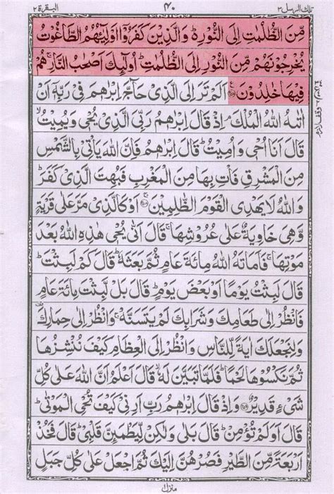 Surah Hashr Last 3 Ayat In Bangla Jordshirts