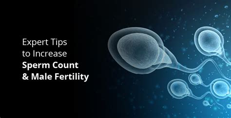 15 Proven Tips To Increase Sperm Count Naturally Birla Fertility And Ivf
