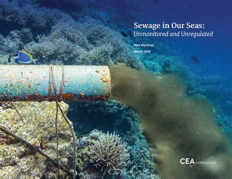Ocean Sewage Pollution A Deeper Dive On Our Shared Seas
