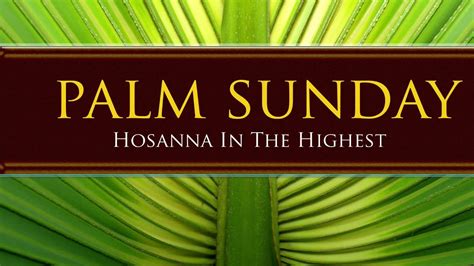 Palm Sunday Homily Year B 28 March 2021 Youtube