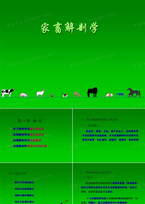 家畜解剖学ppt模板下载编号lpemnnko熊猫办公