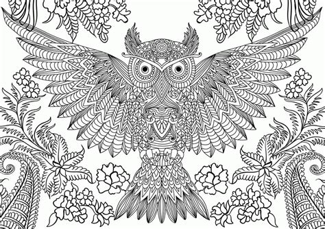owl adult coloring pages  print coloring home