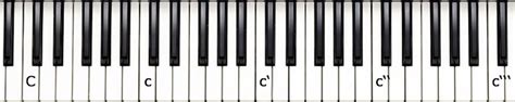 Üben sie täglich oder so oft wie möglich an der klaviatur. Klaviatur Ausdrucken Pdf - Klaviertastatur Klaviatur Beginner Lesson Klavier Lernen Fur Anfanger ...