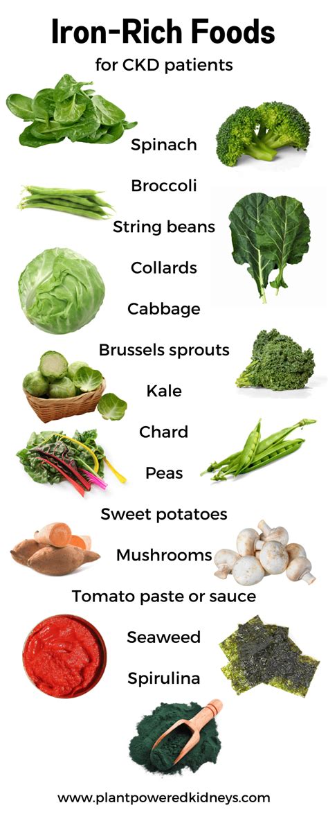 Iron Rich Foods For Ckd Patients