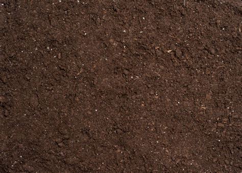 Soil Background Texture