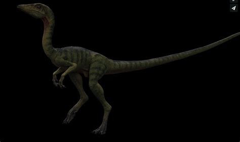How Compsognathus And Ground Acu Could Be Implemented In Jurassic World Evolution Jurassicworldevo