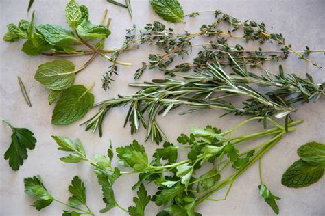 How A Clever Cook Quickly Gets Herbs Off The Stem