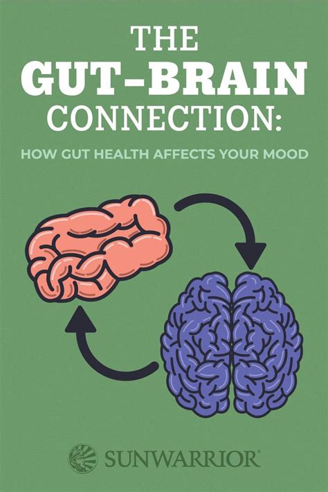 The Gut Brain Connection How Gut Health Affects Your Mood Infographic