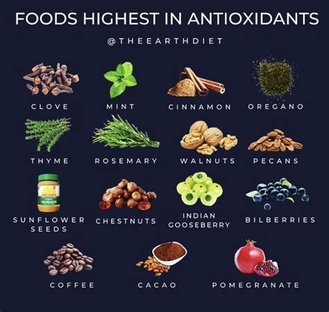 foods highest in antioxidants high antioxidant foods eating organic food