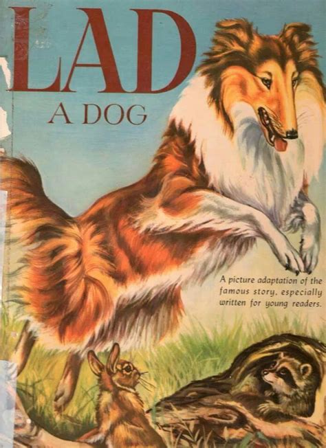 Lad A Dog This Was My Favourite Book When I Was A Kid I Have Looked