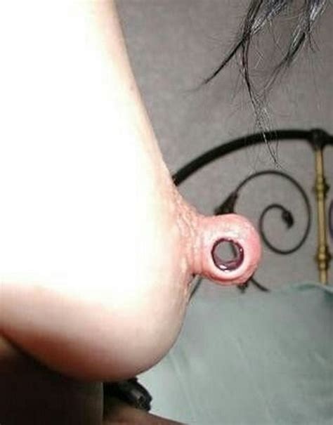 Large Gauge Nipple Piercings Pics Xhamster Sexiezpix Web Porn