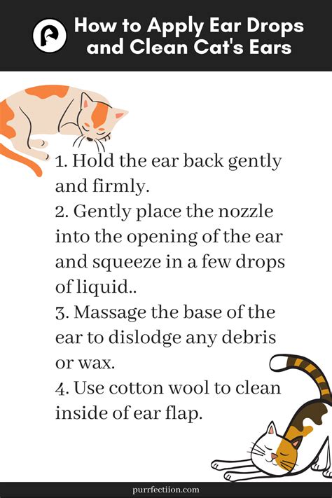 How To Apply Ear Drops And Clean Cats Ears Clean Cat Ears Ear Drops