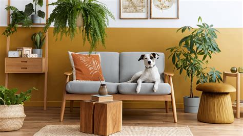 20 Versatile Ways To Brighten Up Your Living Room With Yellow Décor