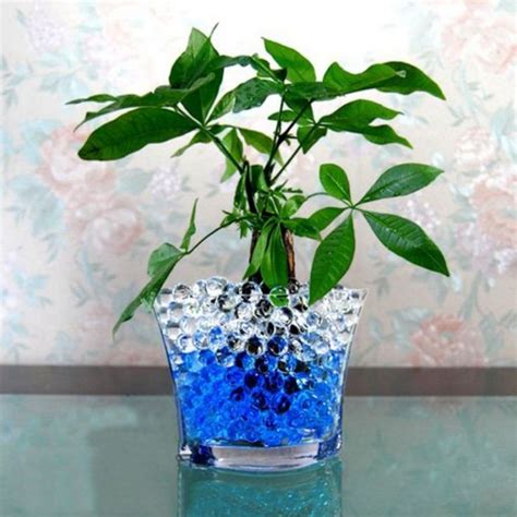 36 Awesome Water Beads Ideas For Indoor Decoration Ideas Plants
