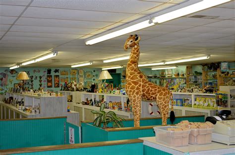 Можно Ли С Животными В Магазин — Iduvmagaz.Ru