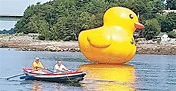 巨型黃鴨現身緬因州 冧爆市民 - 東方日報