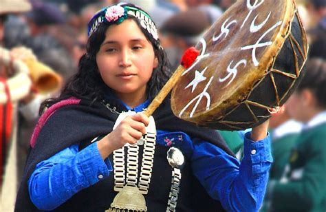 Dossier Historia Y Actualidad De La Nación Mapuche Surysur