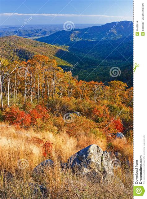 Autumn Landscape In Shenandoah Stock Image Image Of Forest Rock