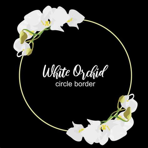 Download Floral White Orchid Flower Circle Border, Frame, Circle ...